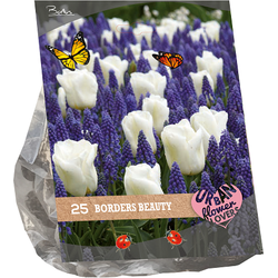 Urban Flowers Borders Beauty per 25 bloembollen