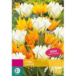 3 stuks Tulipa Sunbath 12 bollen