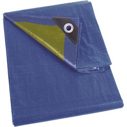 Dekzeil blauw/groen standaard 2 x 3 m