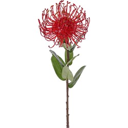 Leucospermum cordifolium rood kunstbloem zijde nepbloem