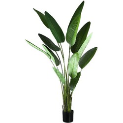 PTMD Kunstplant Strelitzia - 110x63x235 cm - Polyester - Groen