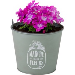 Sunnydays /plantenpot - zink - jadegroen - D17 x H14 cm - IJzeren emmer / teil