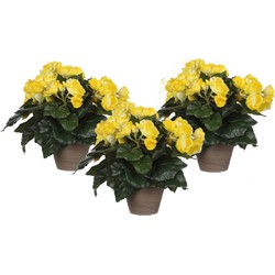 3x stuks gele Begonia kunstplant 30 cm in grijze pot - Kunstplanten