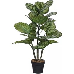 Calathea kunstplant - Buitengewoon de Boet