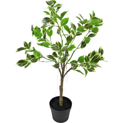 Hoyz Greenery - Kunstplant Ficus Henryi 60 cm