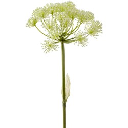 Emerald Kunstbloem Berenklauw - 78 cm - wit - losse tak - kunst zijdebloem - Heracleum - decoratie - Kunstbloemen