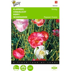 2 stuks - Papaver Rhoeas