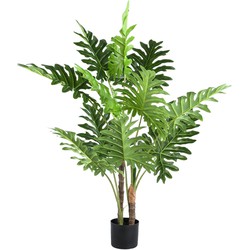 PTMD Leaves Plant green philodendron in black pot S