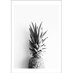Pineapplecrown (21x29,7cm)
