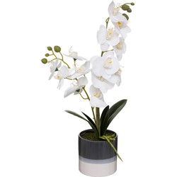 Atmosphera Orchidee bloemen kunstplant in sierlijke blauwe bloempot - witte bloemen - H45 cm - Kunstplanten