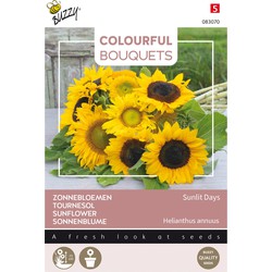 Colourful Bouquets, Sunlit Days (Zonnebloemen halfhoog)