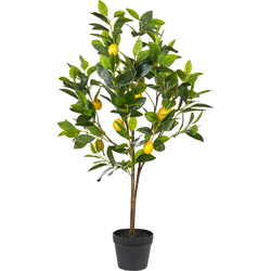 Beliani LEMON TREE - Kunstplant-Groen-Synthetisch materiaal