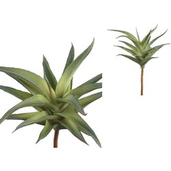 PTMD Succulent Plant Agave Prikker - 18 x 15 x 26 cm - Groen/Bruin