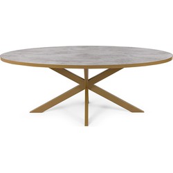 Stalux Ovale eettafel 'Mees' 240 x 110cm, kleur goud / beton