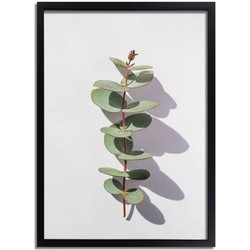 Eucalyptus blad tak abstract DesignClaud - Botanische poster- A4 + fotolijst zwart
