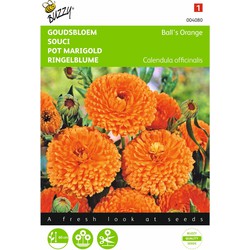 2 stuks - Calendula Officinalis Dubbelbl.Ball S Oranje