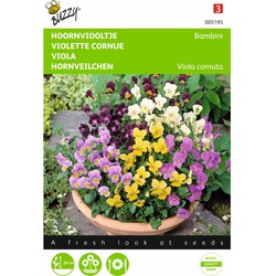 2 stuks - Viola cornuta Bambini Gemengd