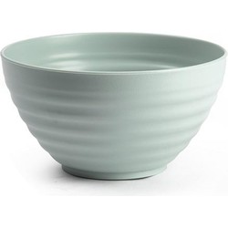 Plasticforte Schaaltjes - groen - kunststof - 15 x 8 cm - kom - Kommetjes
