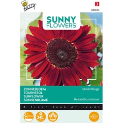 5 stuks - Seeds Sunny Flowers Sonnenblume Moulin Rouge - Buzzy