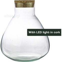 URBANJNGL - Terrarium met led kurk - Sam Led - Gesloten terrarium  ↑ 30 cm