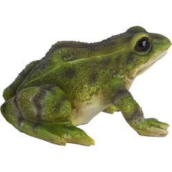 Kikker/pad beeldje van steen groen tuindecoratie 8 cm - Beeldjes