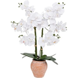 Atmosphera Orchidee bloemen kunstplant in sierlijke terracotta bloempot - witte bloemen - H65 cm - Kunstplanten