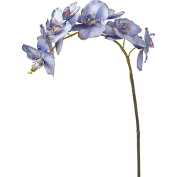 Blauwe kunstmatige phalaenopsis orchideestam H100