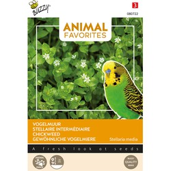 Tierlieblinge Vogelfutter Grünfutter Ziervögel und Hühner Saatgut - Tuinplus