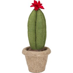Kidsdepot Cactus - King