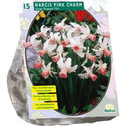 Bollen Narcis Pink Charm 15 stuks