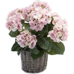 Kunstplant Hortensia bloemen in mand - H45 cm - Met bloemen - roze - Kunstplanten