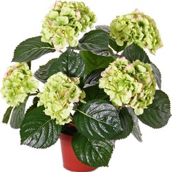 Topart kunstplant met bloemen - Hortensia - roze - H36 cm - Dia 10 cm - Kunstplanten