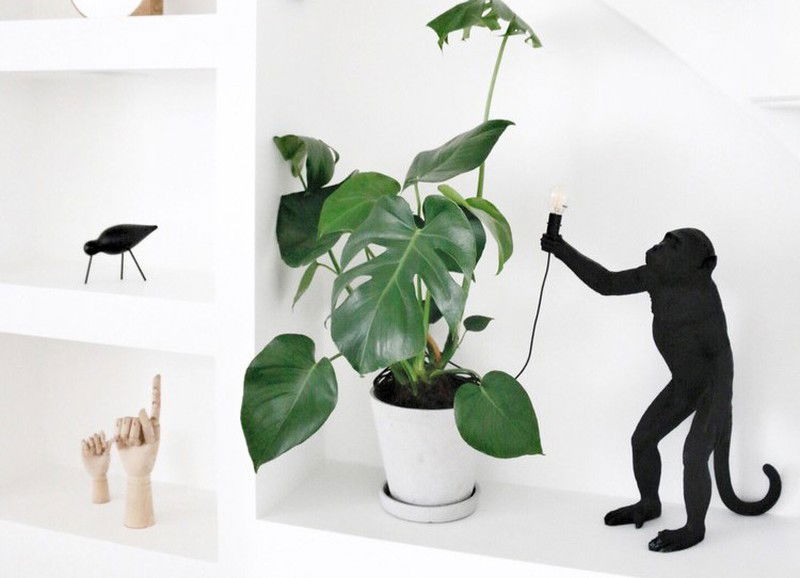 Dit zijn de leukste accessoires in de vorm van een dier