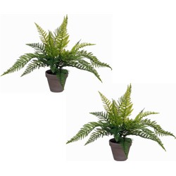 2x stuks varen kunstplanten/kamerplanten groen H40 cm x D36 cm - Kunstplanten