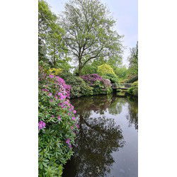 Tuinschilderij bloemenpracht 130x70