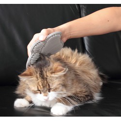 Massagehandschoen voor kat