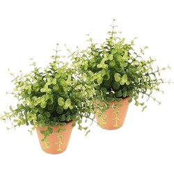 2x Groene kunstplant eucalyptus plant in pot - Kunstplanten