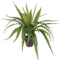 Mica Decorations Asplenium Kunstplant in Bloempot Stan - H54 x Ø66 cm - Groen