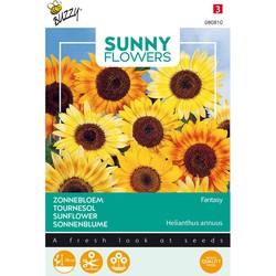 3 stuks - Sonnige Blumen Sonnenblume Music Box - Buzzy