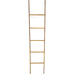 Antieke IJzeren Ladder