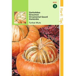 2 stuks - Cucurbita Turbaniformis Turkse Muts - Hortitops