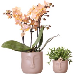 Kolibri Company - Planten set Zen Face zand | Set met oranje geurende Phalaenopsis Orchidee Ø9cm en groene plant Rhipsalis Cereuscala Gold Ø6cm | incl. zand kleurige sierpotten