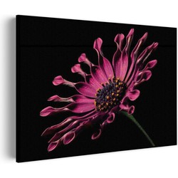 Muurwerken Akoestisch Schilderij - Aster Bloem - Geluidsdempend Wandpaneel - Wanddecoratie - Geluidsisolatie - PRO (AW 0.90) XL (120x86)