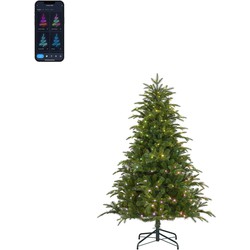 Black Box Trees Slimme Verlichting Kerstboom - 107x107x155 cm - Groen