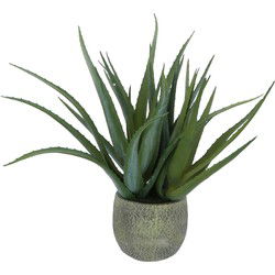 Kopu® Kunstplant Aloe Vera 48 cm in binnenpot met aarde - 30 bladeren