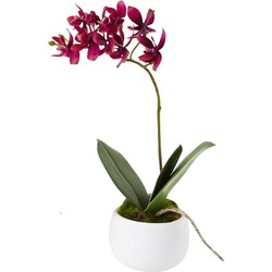 Kunstmatige violette orchidee samenstelling H23