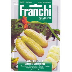 Komkommer, Cetriolo White Wonder 37/32 - Franchi