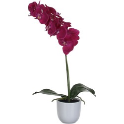 Mica Decorations Phalaenopsis Kunstplant - 16x16x60 cm - Paars