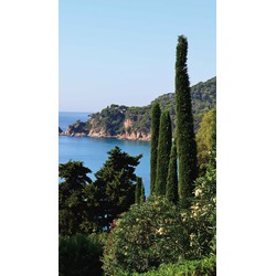 Cypressen bij zee 70x130cm Tuinschilderij - Customize-it
