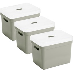 Set van 3x opbergboxen/opbergmanden lichtgroen van 18 liter kunststof met transparante deksel - Opbergbox